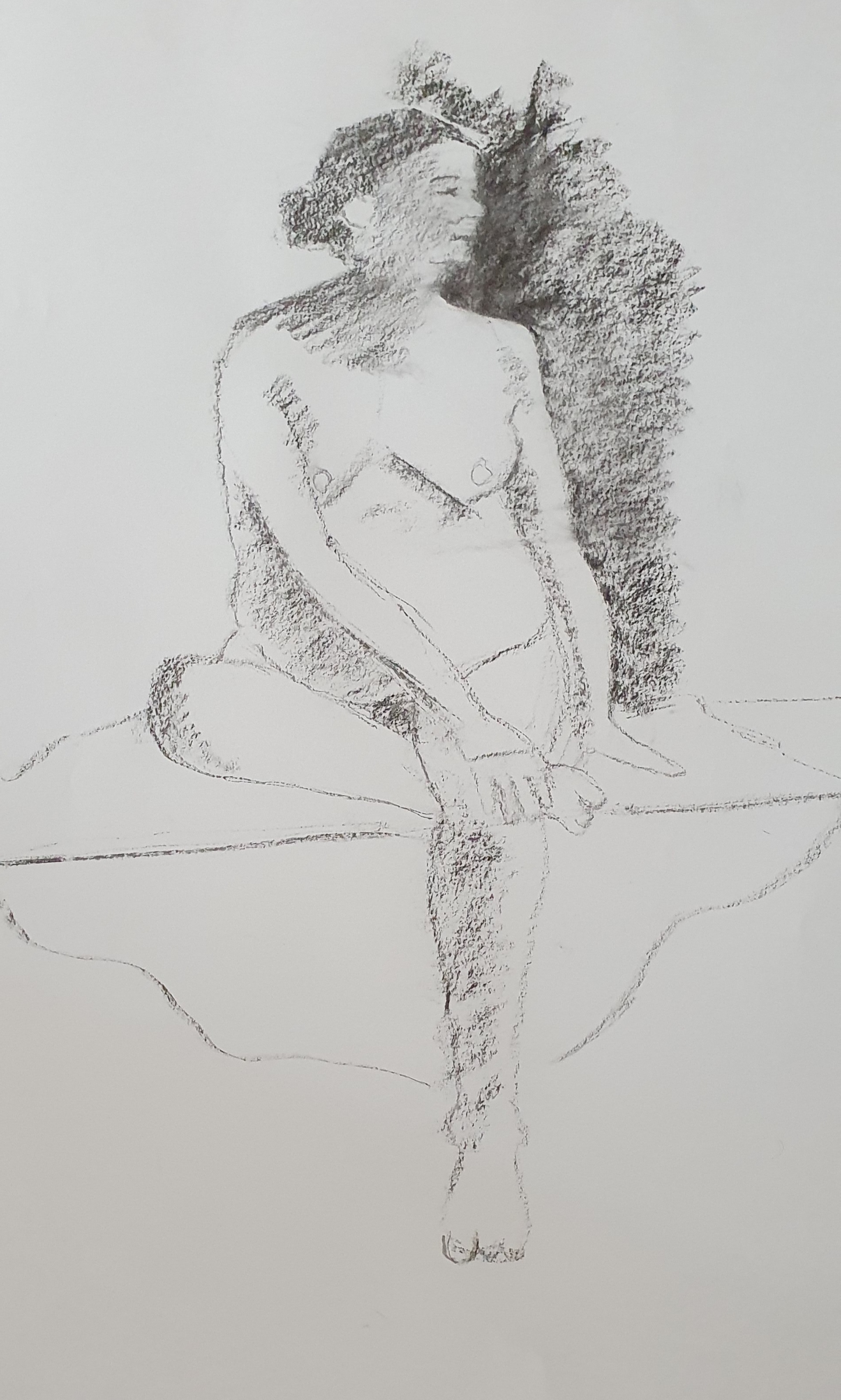 agrandir l'image dans un diaporama